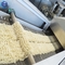 Automatische Onmiddellijke Rijstnoedel die Machine 100 maken - 500kg/H